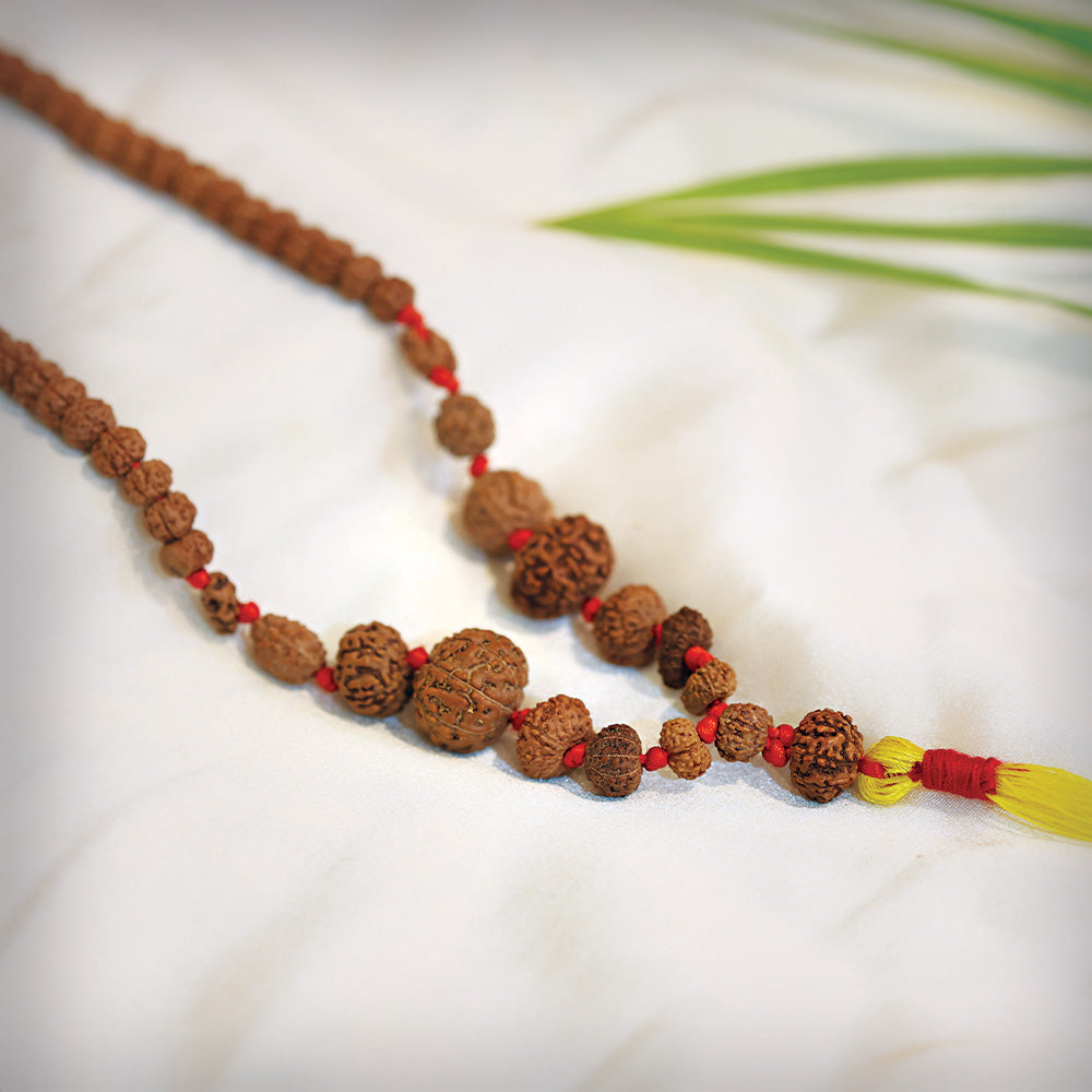 1 - 14 Mukhi Rudraksha Mala