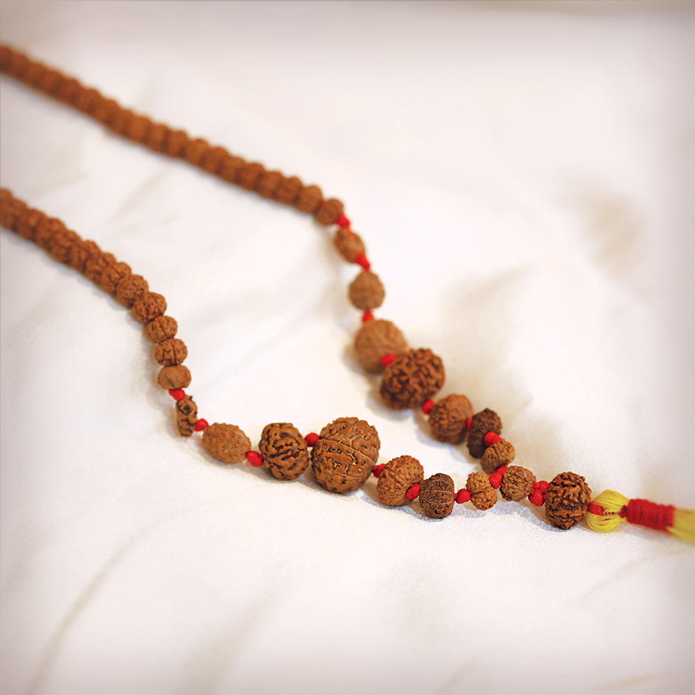 1 - 14 Mukhi Rudraksha Mala