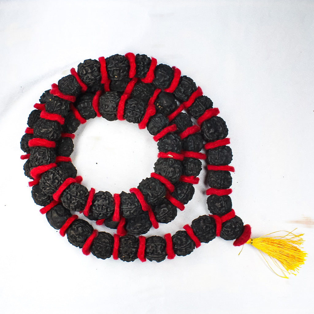 Rudraksha Kantha Mala (54+1 beads) in Black color