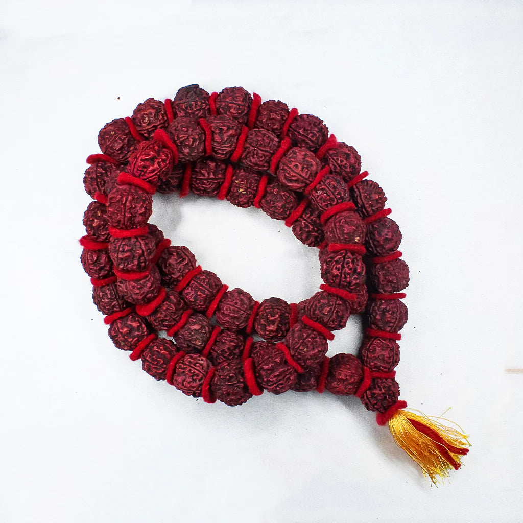 Rudraksha Kantha Mala (54+1 beads) in Brown Color